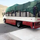 دينا دنه المدينه كرين دنه شبك المدينه