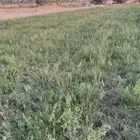 ايجار رشاش شهر برسيم