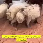 ذبايح الحفر