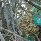 تمر للبيع ( برحي - سكري - والاغلب اخلاص )