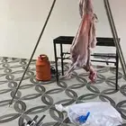 شوي ذبياح داخل وخارج الحفر