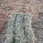بلوبنك صافي ورق
