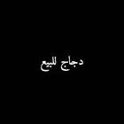 دجاج وديك للبيع في بيشه