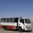 دينة ايسوزو 2011