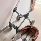 عربية أطفال من جيجلز