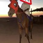 فرس خط سرعه