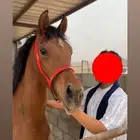 مهره في عفيف