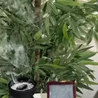 عود تايقر (عرض اليوم الوطني)
