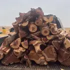 يوجد حوض هيلكس بنزين دبل ويوجد بدي غمارتين كامل شد بلد