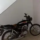 دباب سزوكي