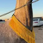زينة للخيل