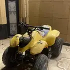 دباب تايواني للبيع