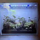 حوض زراعي تيراريوم