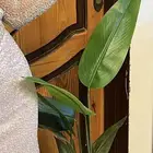 فستان زواج مقاس s لبسته مره وحده سعر الشراء والتفصيل 1000