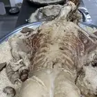 ذبايح حري وسواكني ابيض وحمري وتيوس مع الذبح والتوصيل