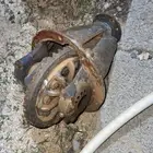 كرونة صالون10 سنون