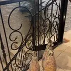 ثرياء