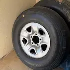 جنوط ديازل لاند