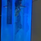 شاشة