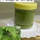 مورينجا