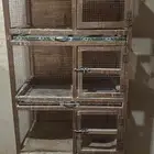 حضانات ومحاكر صيصان