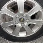 جنوط كابرس 2009