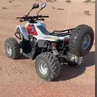 دباب سويدي