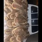 اللي يبي مسح صندوق شلايخ سمر او دنه متوفر الموقع الرين