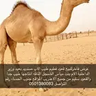 للبيع عرض فاخرر