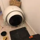 قطه مع جميع اغراضها لي بيع