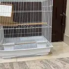 قفص