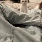 قطوة