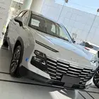 جيتور داشينج فئه الميد 2025 (82885)