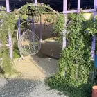 كرفان للايجار اليومي