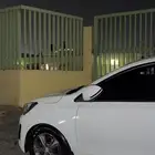 جنوط اكسنت