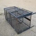 فخ للحيوانات المزعجه