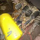 هايدروليك