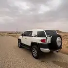 أفجي 2011