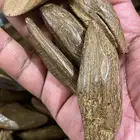 عود مروكي الشيوخ محسن تحسين بسيط كسر مباخر سوبر بيور