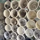 حمام فرنسي سلفر حدود 15 زوج زيادة وحدة زاجل