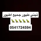 تبني طيور عصفير