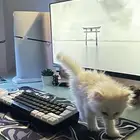 سوني 5 للبيع