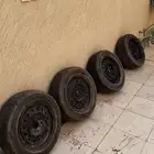 جنوط التيما