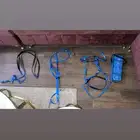 لجام خيل مع صدريه وبندج