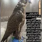 حر أسيل كاخ للبيع