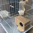 قفص مع بياضة نظيف