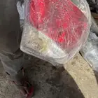 جميع أنواع الاسطبات والشمعات لجميع أنواع السيارات