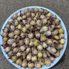 بقلاوة طازجة يوميأ