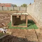 شبك دجاج للبيع