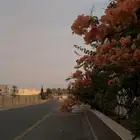 سكن استراحه او شقه
